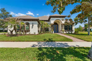 20439 LACE CASCADE ROAD, LAND O LAKES, FL 34637 - MLS#MFRTB8496610