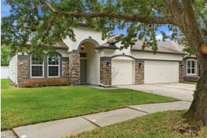 5832 HERONVIEW CRESCENT DRIVE, LITHIA, FL 33547 - MLS#MFRTB8496611