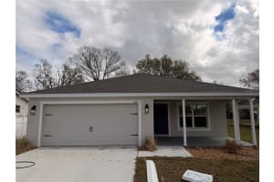 445 ALVINA AVENUE, LAKE WALES, FL 33853 - MLS#MFRTB8496617