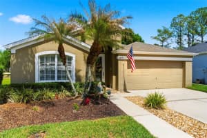 26645 SEA HERO CIRCLE, WESLEY CHAPEL, FL 33544 - MLS#MFRTB8496618