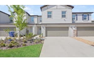 10321 HONEY HAMMOCK WAY, SAN ANTONIO, FL 33576 - MLS#MFRTB8496627