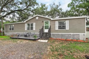 1412 UNION PACIFIC DRIVE, PLANT CITY, FL 33566 - MLS#MFRTB8496641