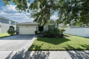 12205 FAIRLAWN DRIVE, RIVERVIEW, FL 33579 - MLS#MFRTB8496658