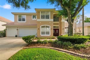 9207 MEADOW LANE COURT, TAMPA, FL 33647 - MLS#MFRTB8496673