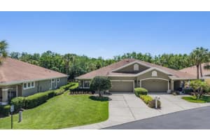 12752 Aston Creek Dr, TAMPA