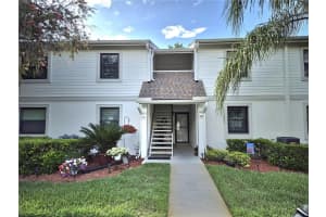 509 MEADOW LANE, OLDSMAR, FL 34677 - MLS#MFRTB8496709