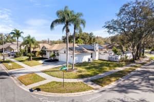 15101 REDVALE DRIVE, TAMPA, FL 33625 - MLS#MFRTB8496725