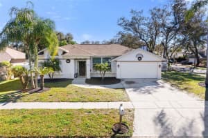 15101 REDVALE DRIVE, TAMPA, FL 33625 - MLS#MFRTB8496725