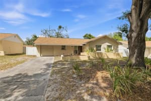 8522 Caladesi Island Dr, TEMPLE TERRACE