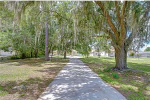 6213 PARKWAY BOULEVARD, LAND O LAKES, FL 34639 - MLS#MFRTB8496730