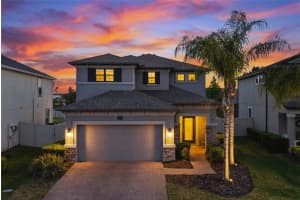 19720 LONG LAKE RANCH BOULEVARD, LUTZ, FL 33558 - MLS#MFRTB8496732