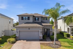 19720 LONG LAKE RANCH BOULEVARD, LUTZ, FL 33558 - MLS#MFRTB8496732