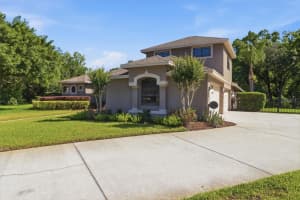 5902 HAMMOCK WOODS DRIVE, ODESSA, FL 33556 - MLS#MFRTB8496750