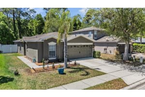 12715 WHITE BLUFF ROAD, HUDSON, FL 34669 - MLS#MFRTB8496761