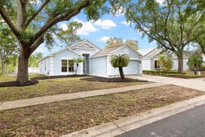 1620 NAVIGATOR LANE, TARPON SPRINGS, FL 34689 - MLS#MFRTB8496780