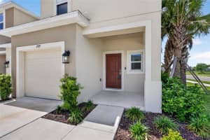 2339 ALEE LANE, WESLEY CHAPEL, FL 33543 - MLS#MFRTB8496826