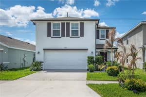 12169 DOWNY BIRCH DRIVE, RIVERVIEW, FL 33569 - MLS#MFRTB8496828