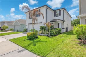 12169 DOWNY BIRCH DRIVE, RIVERVIEW, FL 33569 - MLS#MFRTB8496828