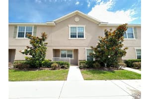 27507 DESERT WILLOW WAY, WESLEY CHAPEL, FL 33544 - MLS#MFRTB8496847