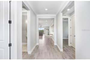 11677 BRIGHTON KNOLL LOOP, RIVERVIEW, FL 33579 - MLS#MFRTB8496852