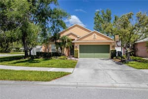 509 CYPRESS VIEW DRIVE, OLDSMAR, FL 34677 - MLS#MFRTB8496854