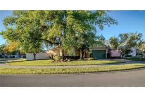 509 CYPRESS VIEW DRIVE, OLDSMAR, FL 34677 - MLS#MFRTB8496854