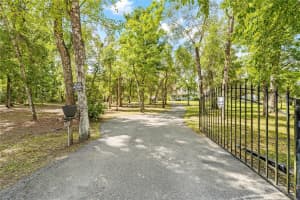 7347 PACKINGHAM DRIVE, WEBSTER, FL 33597 - MLS#MFRTB8496860