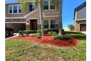 19417 PADDOCK VIEW DRIVE, TAMPA, FL 33647 - MLS#MFRTB8496889