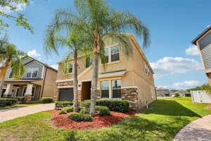 19417 PADDOCK VIEW DRIVE, TAMPA, FL 33647 - MLS#MFRTB8496889