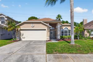 8525 Heyward Rd, TAMPA