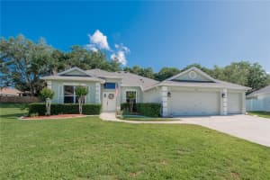 4810 WATER LARK WAY, VALRICO, FL 33596 - MLS#MFRTB8496904
