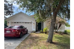 3746 Washburn Pl, WESLEY CHAPEL