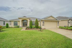 1311 EVERGREEN PARK CIRCLE, LAKELAND, FL 33813 - MLS#MFRTB8496948