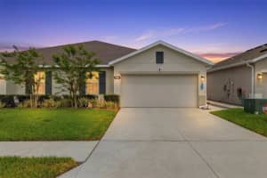 17804 Turning Leaf Cir, LAND O LAKES