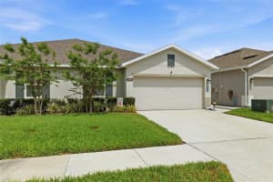 17804 TURNING LEAF CIRCLE, LAND O LAKES, FL 34638 - MLS#MFRTB8496963