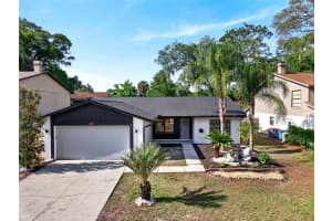 14841 OAK VINE DRIVE, LUTZ, FL 33559 - MLS#MFRTB8496970