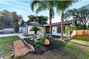 14841 OAK VINE DRIVE, LUTZ, FL 33559 - MLS#MFRTB8496970