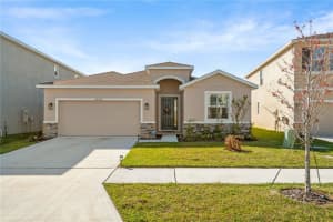 32516 OSPREY PEAK WAY, SAN ANTONIO, FL 33576 - MLS#MFRTB8497001