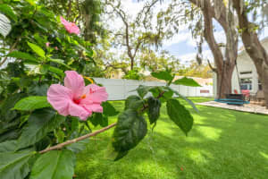 901 VIRGINIA AVENUE, TARPON SPRINGS, FL 34689 - MLS#MFRTB8497027