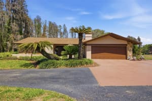 820 NEWBERGER ROAD, LUTZ, FL 33549 - MLS#MFRTB8497037