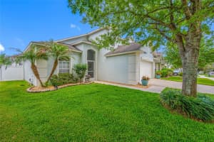 10031 CREEK BLUFF DRIVE, RIVERVIEW, FL 33578 - MLS#MFRTB8497054