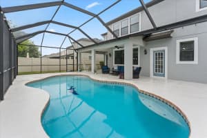 1675 FEATHER GRASS LOOP, LUTZ, FL 33558 - MLS#MFRTB8497070