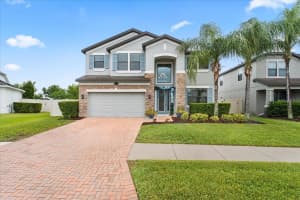 1675 FEATHER GRASS LOOP, LUTZ, FL 33558 - MLS#MFRTB8497070