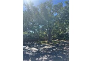 383 MCMULLEN BOOTH ROAD, CLEARWATER, FL 33759 - MLS#MFRTB8497102