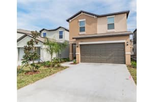 4708 Summer Savory St, TAMPA