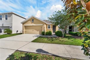 10232 GEESE TRAIL CIRCLE, SUN CITY CENTER, FL 33573 - MLS#MFRTB8497173