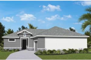5266 Colony Vista Dr, APOLLO BEACH