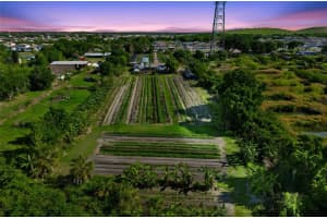 11101 SUMNER ROAD, WIMAUMA, FL 33598 - MLS#MFRTB8497189