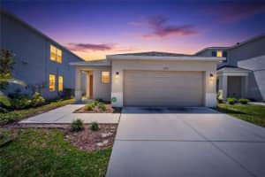 6239 SPRINGMONT LOOP, PALMETTO, FL 34221 - MLS#MFRTB8497195