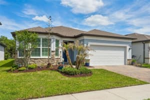 6382 Bradford Woods Dr, ZEPHYRHILLS